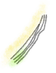Calculated Safety Illustration